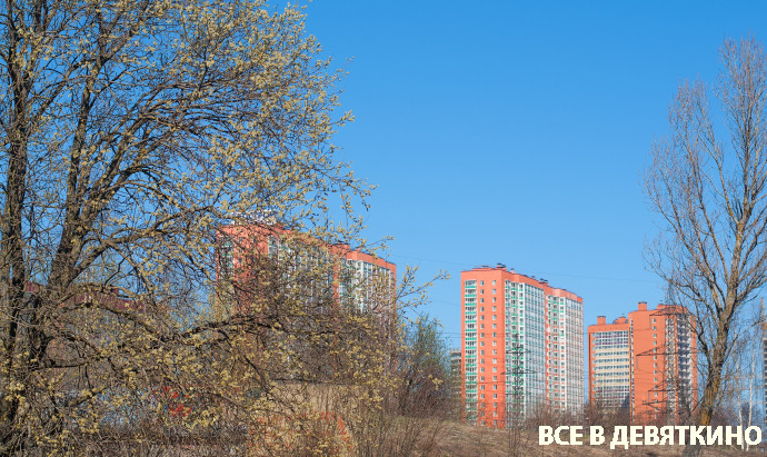 Девяткино красивые фото