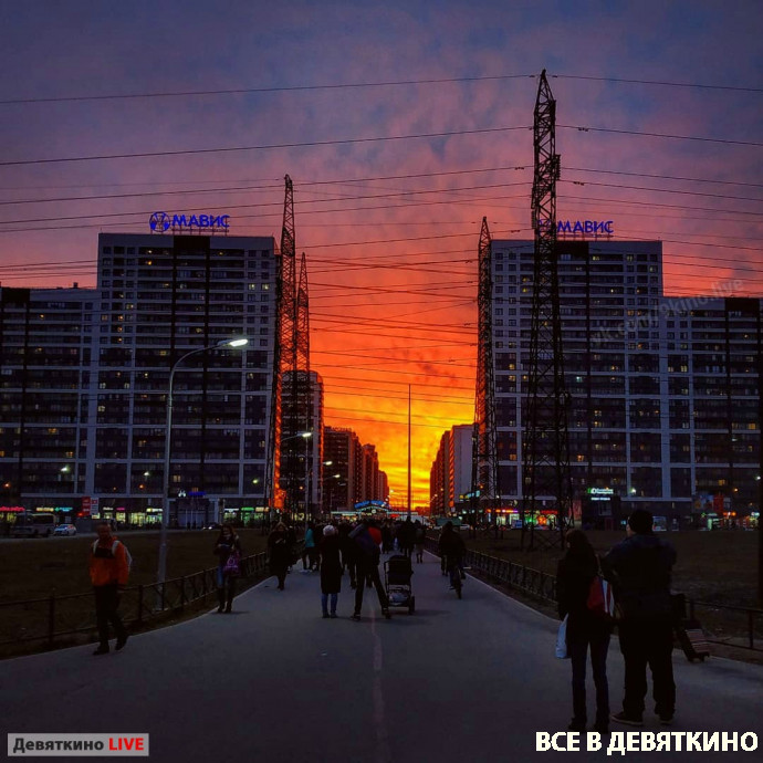 Девяткино фото