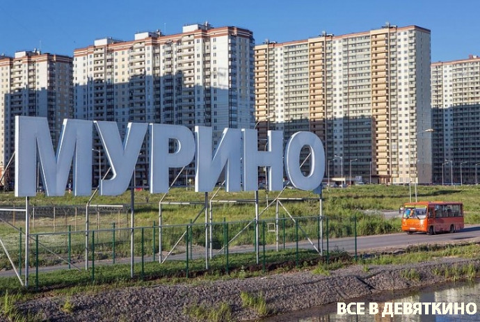 Мурино