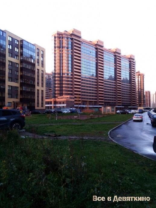 Девяткино фото