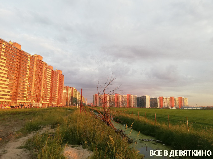 закаты Мурино