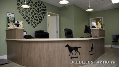 Ветеринарный центр"МАНГУСТ" Мурино
