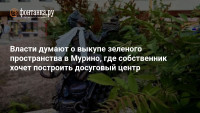 Власти думают о выкупе зеленого пространства в Мурино