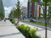 Жителя Мурино оштрафовали за оскорбление женщины во время личной беседы