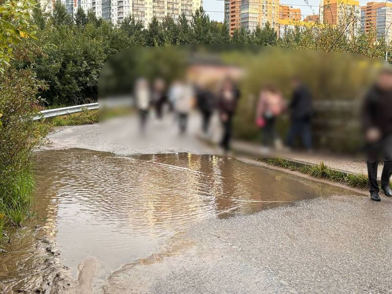&laquo;Народная тропа&raquo; от метро Девяткино: почему её не чинят (2026)