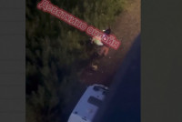 Девушку нашли под окнами многоэтажки в Мурино
